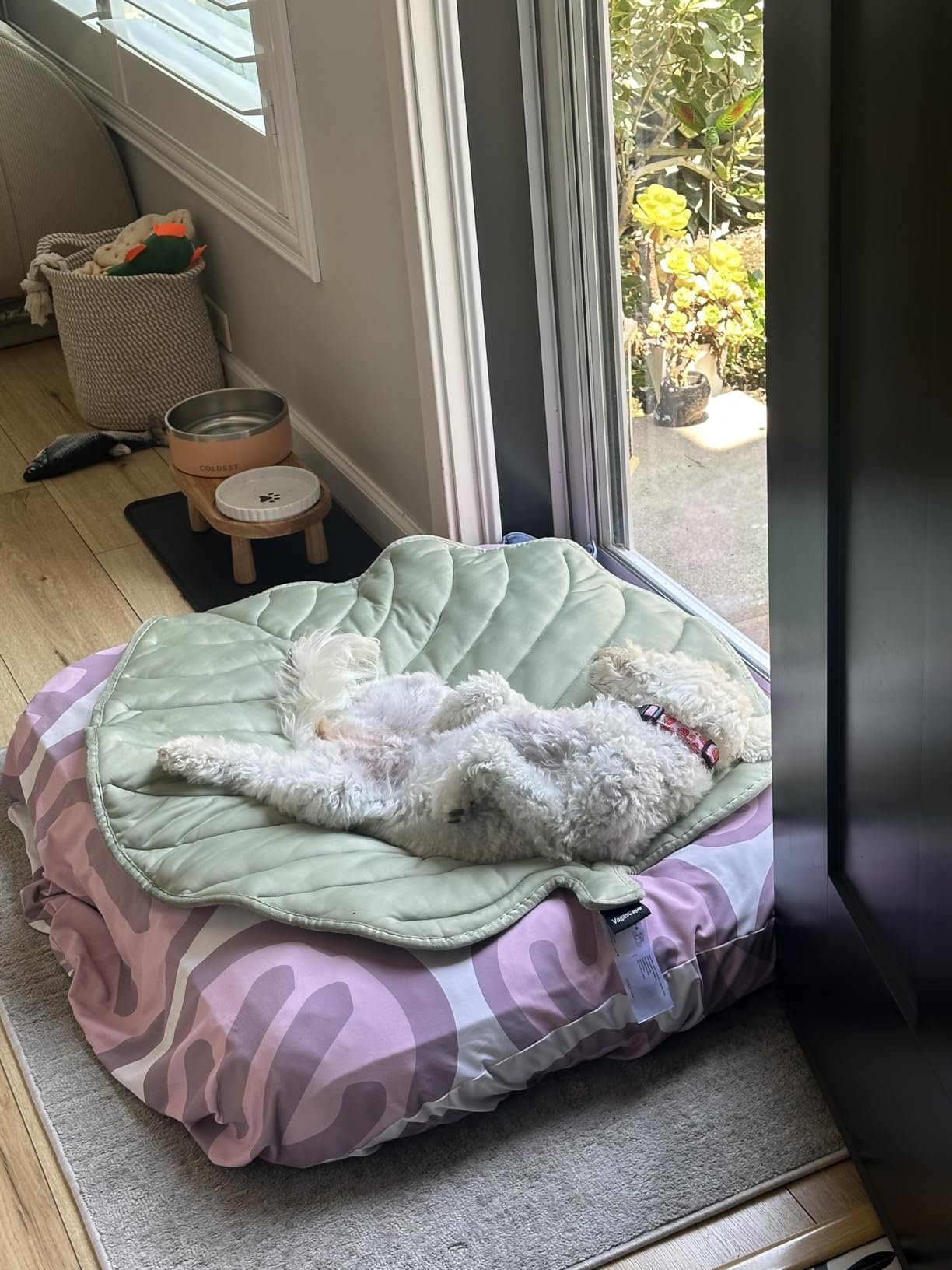 Daisy on Wagley mat