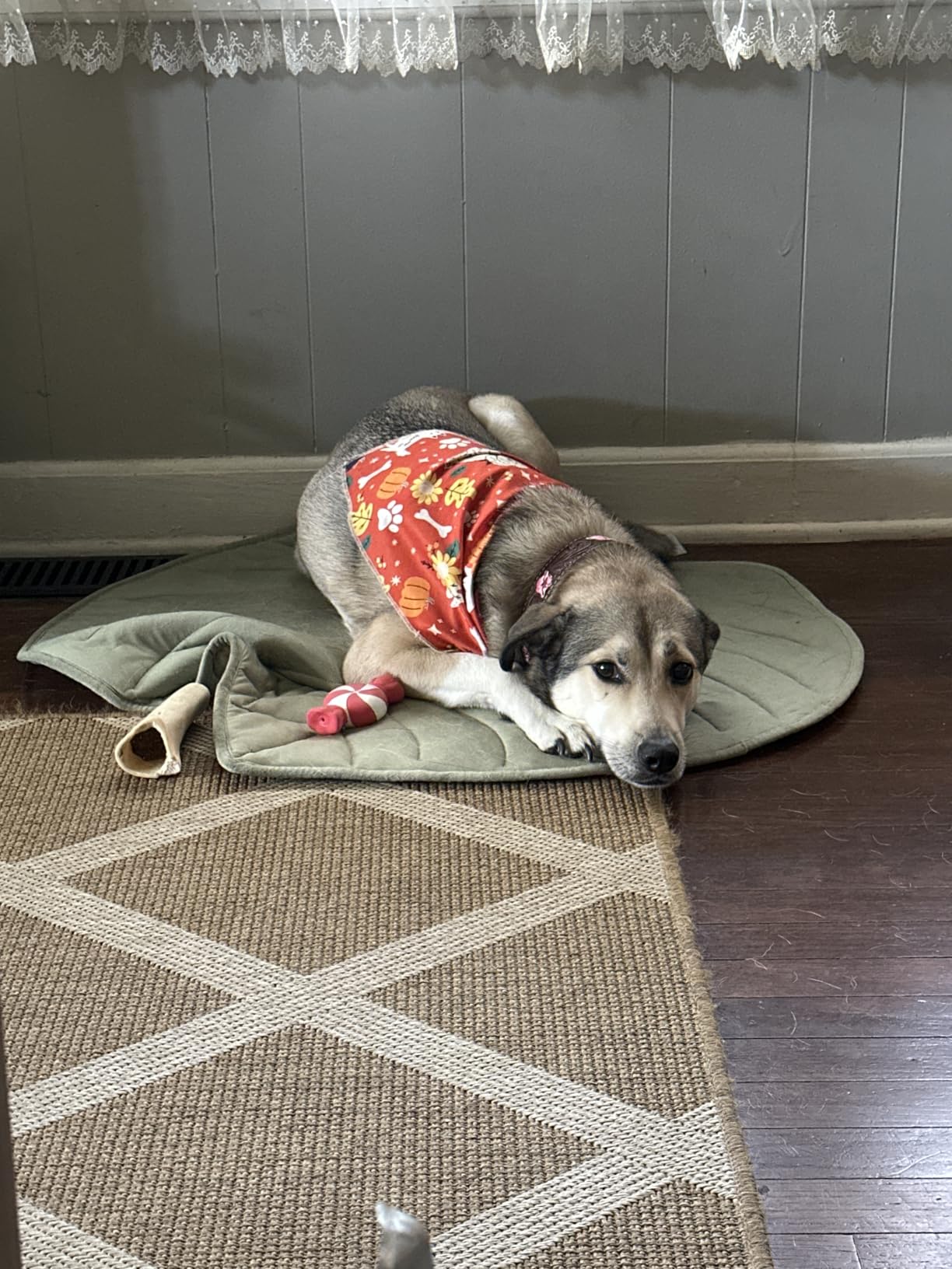 Tucker on Wagley mat