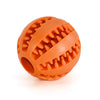Wagley Dog Toy Collection