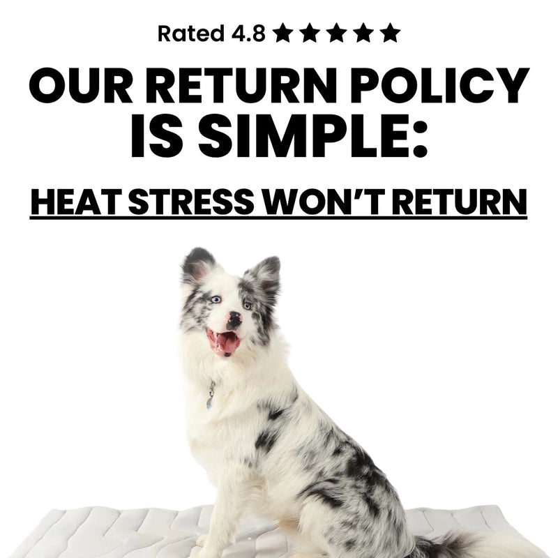 Dog Cooling Mat - Dog Resting on Mat