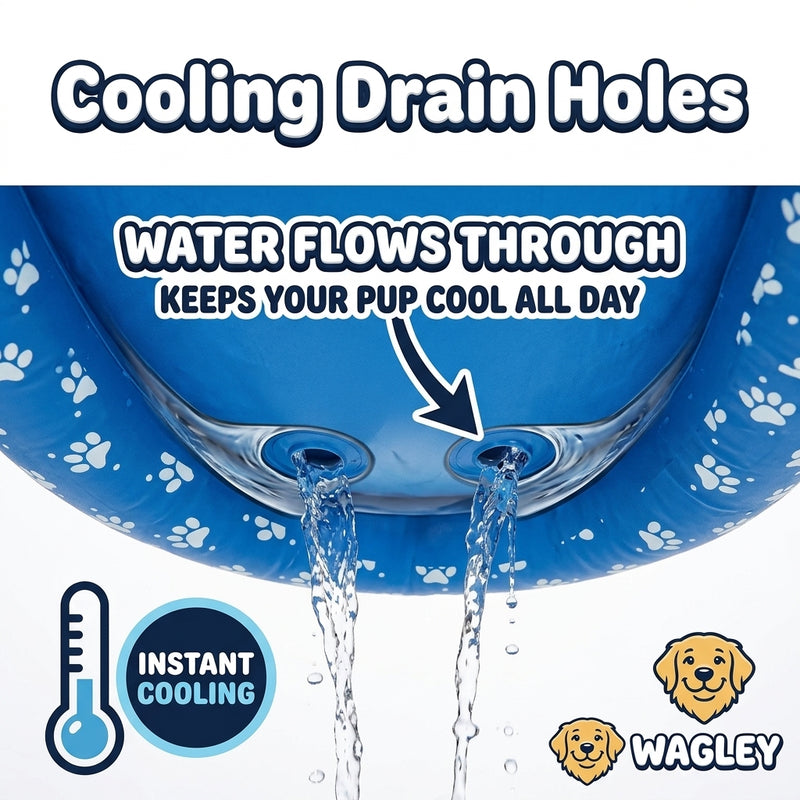 Wagley Dog Pool Float