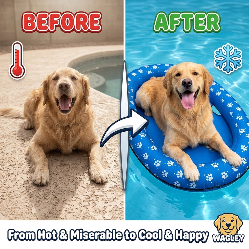 Wagley Dog Pool Float