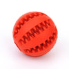 Wagley Dog Toy Collection
