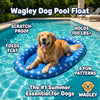 Wagley Dog Pool Float