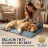 Dog Cooling Mat