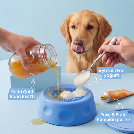 Pup Bowl 2.0