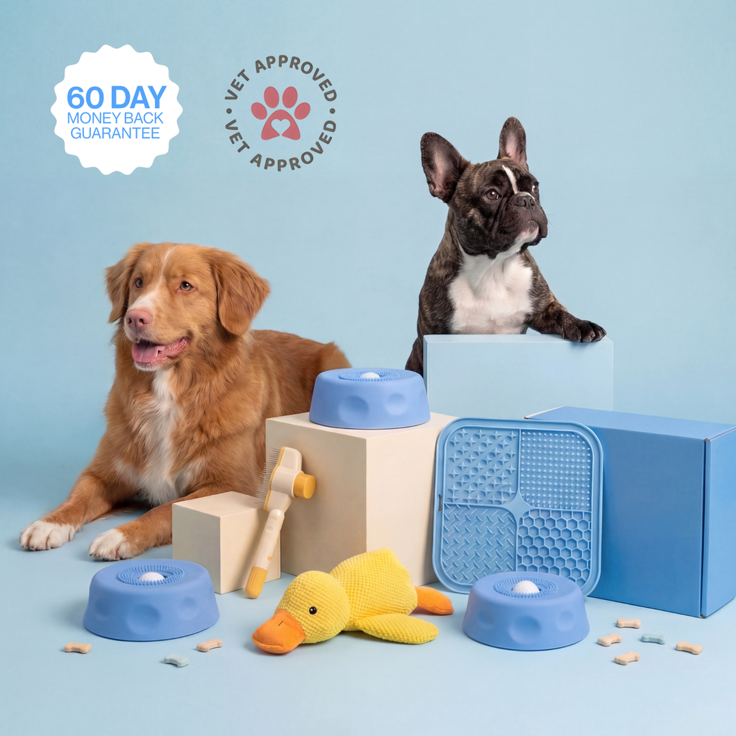 Pup Bowl 2.0