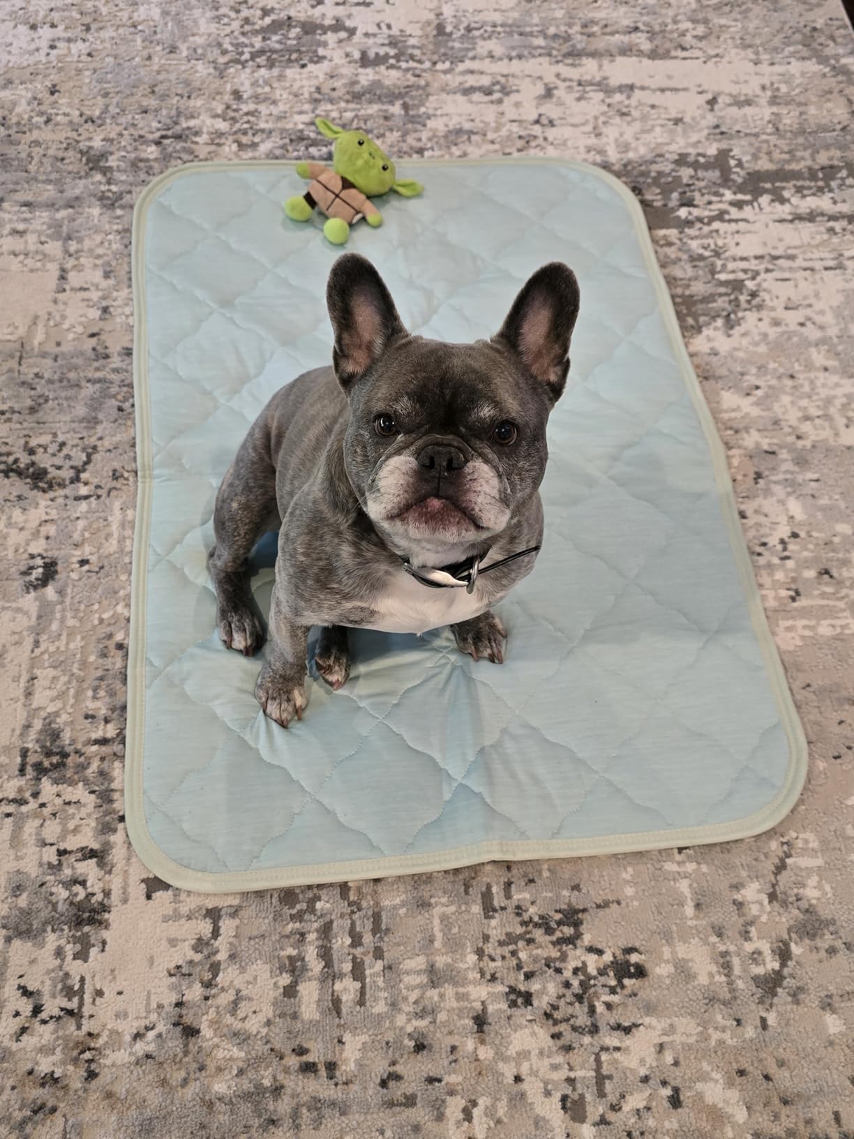 French Bulldog on cooling mat