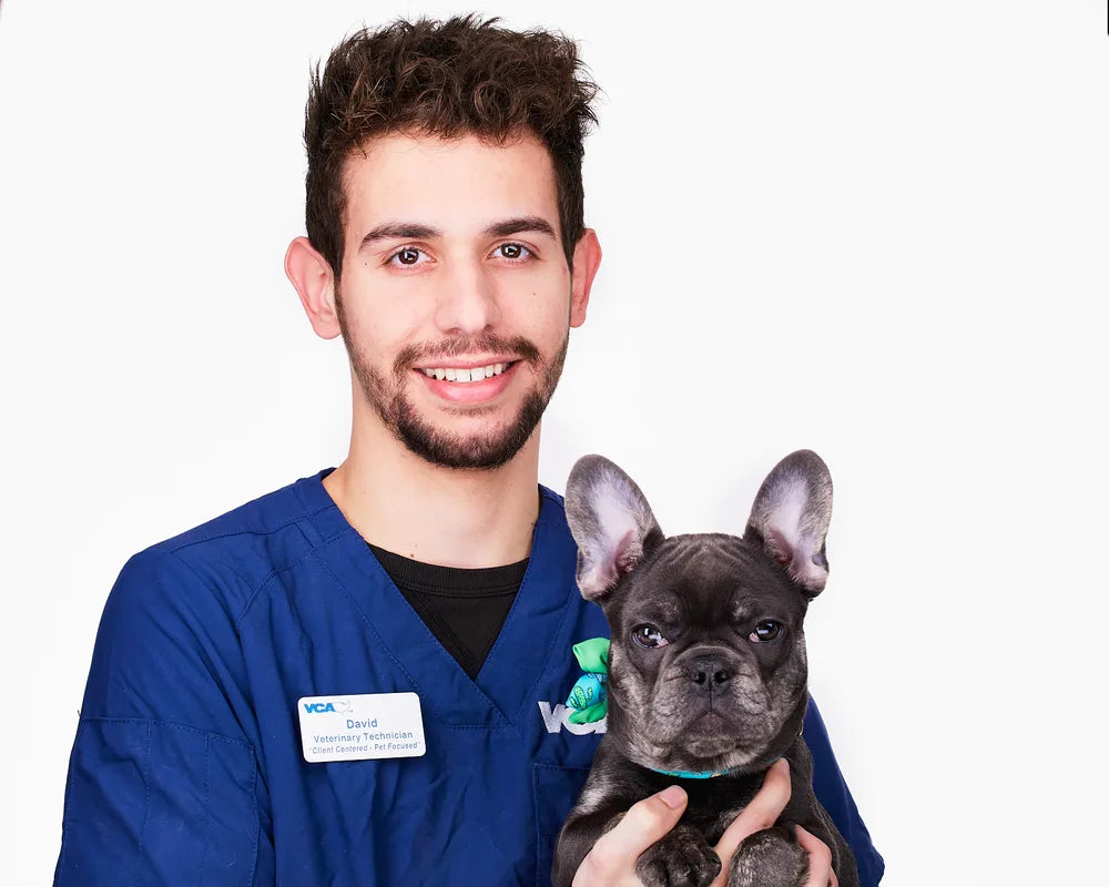 Dr. David Reyes, DVM