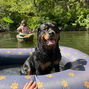 Bear on Wagley Pool Float