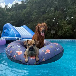 Sadie on Wagley Pool Float