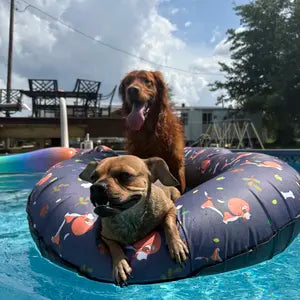 Milo on Wagley Pool Float