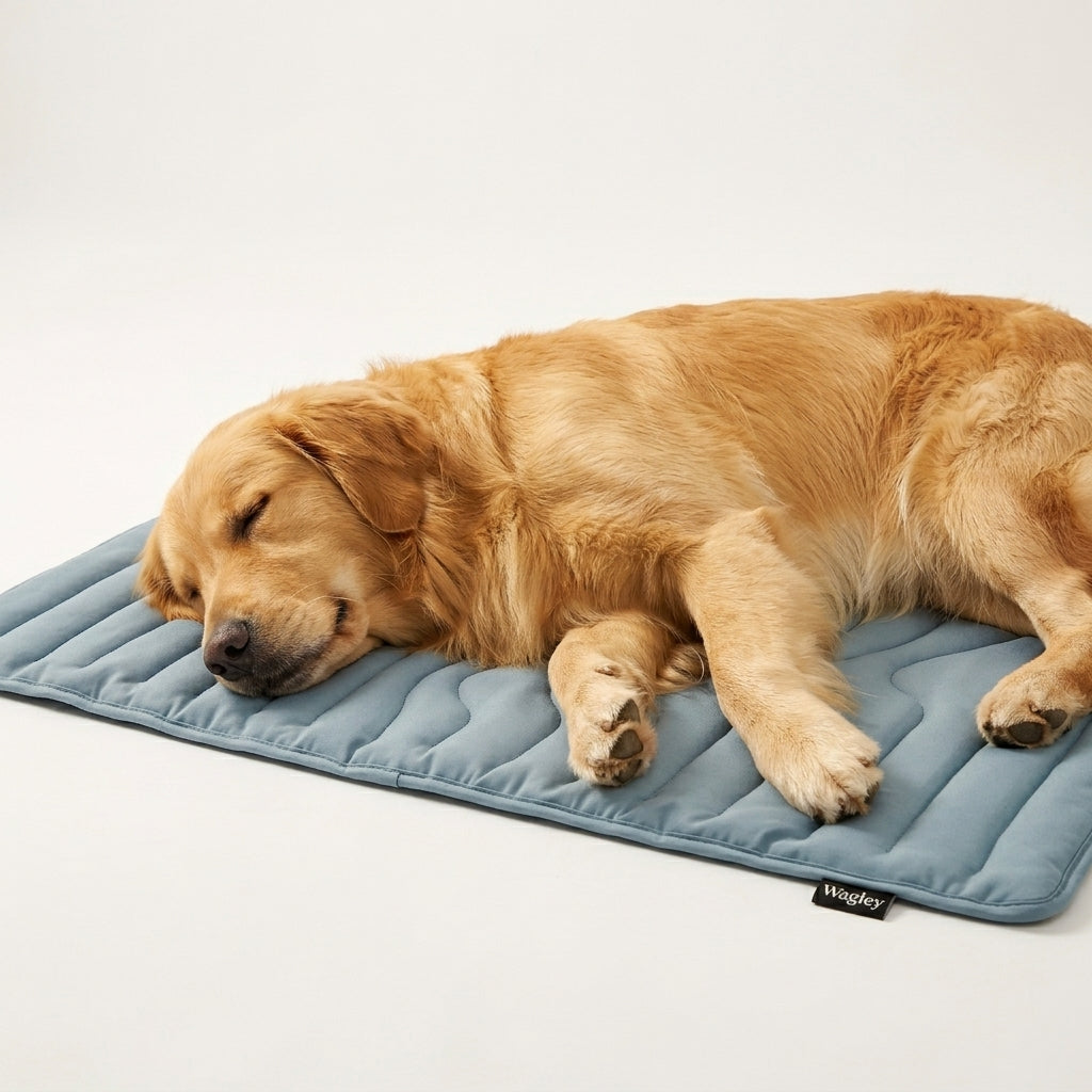 Happy dog enjoying cool relief on Wagley mat
