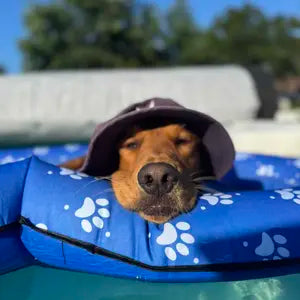 Tucker on Wagley Pool Float