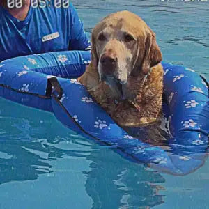 Bella on Wagley Pool Float