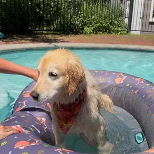 Max on Wagley Pool Float