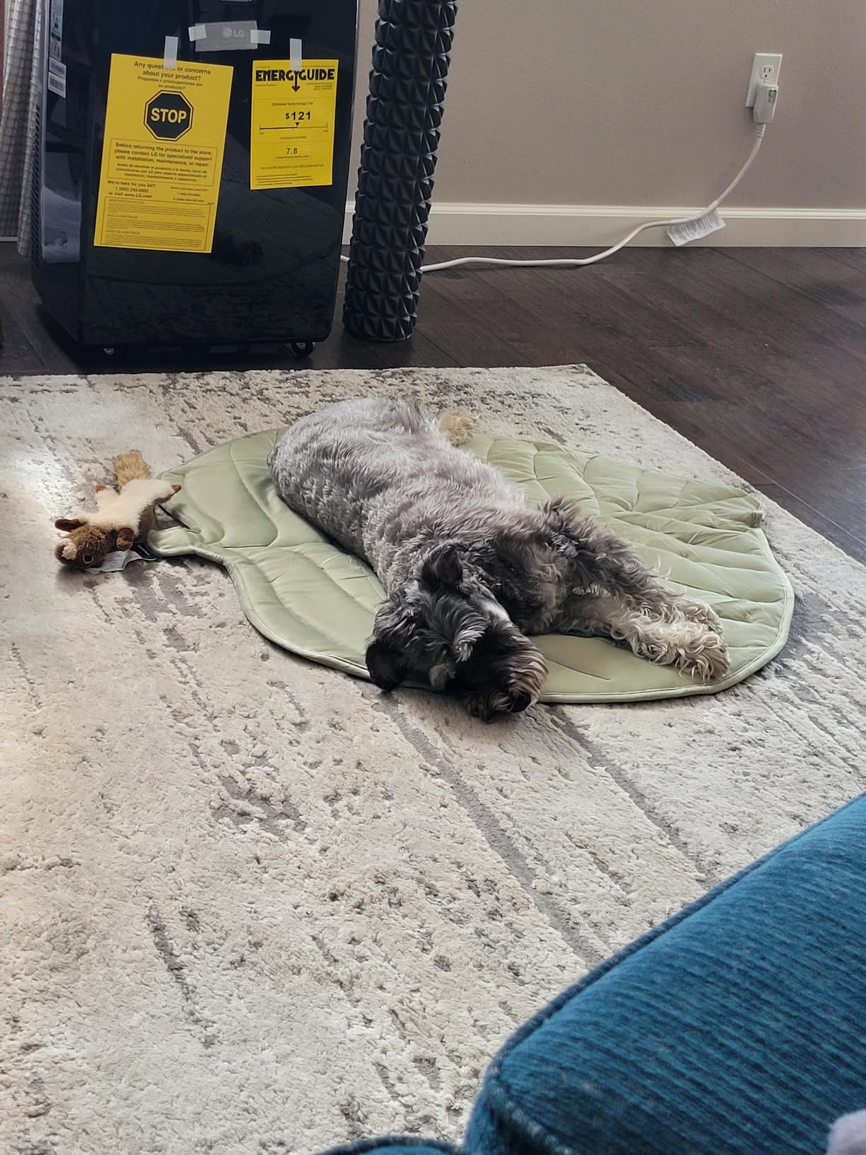 Sadie on Wagley mat